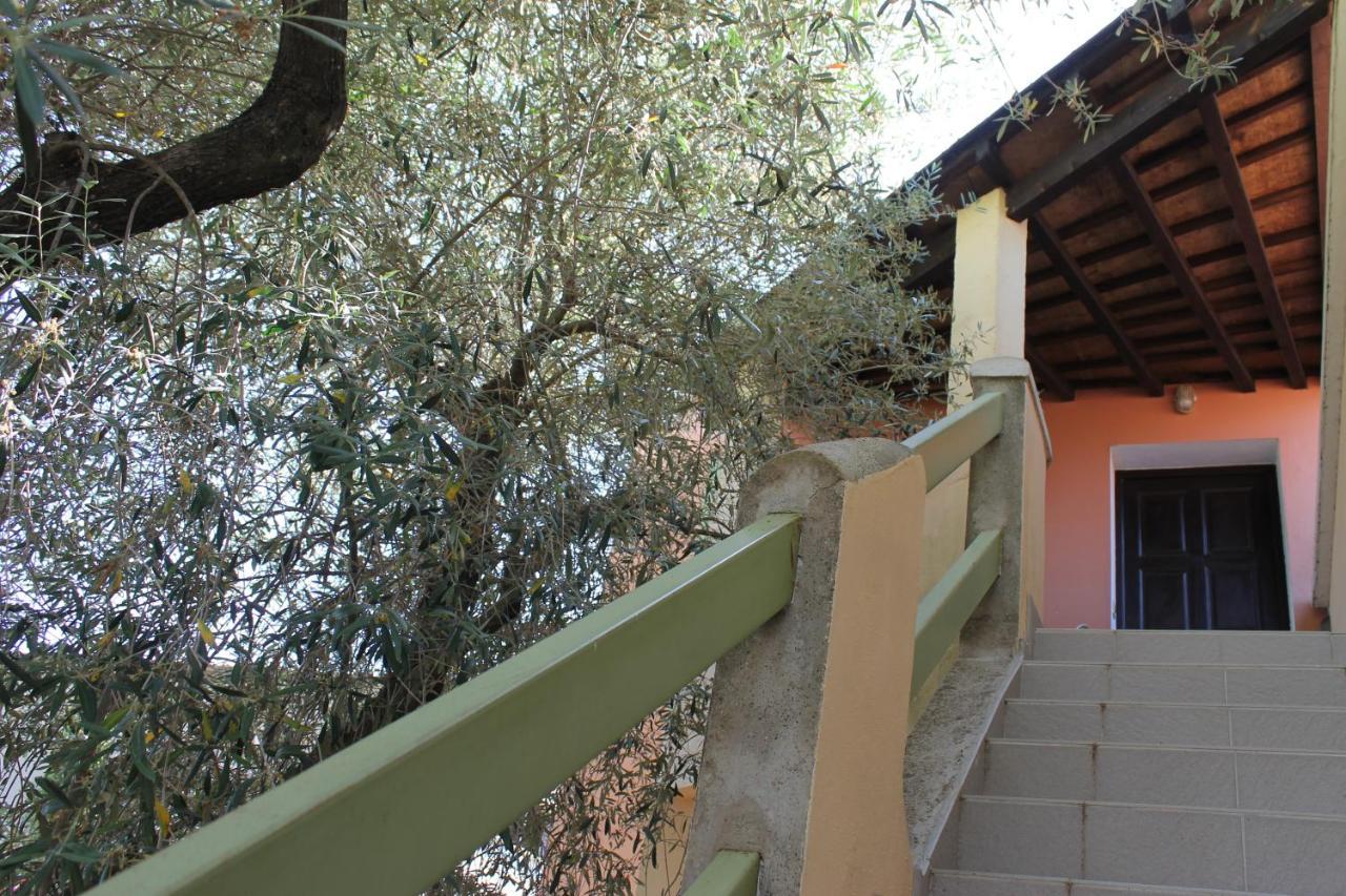 Domaine Le Clos Des Oliviers Sorbo-Ocagnano Bagian luar foto